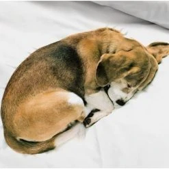 SNURK Bob Hund Bettwäsche-Set - 135x200 / 80x80 Cm - Weiß Mit Motiv 7 SNURK Bob Hund Bettwäsche-Set - 135x200 / 80x80 Cm - Weiß Mit Motiv -Moooi Shop unnamed file 1459