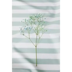 Elegante Lido Web-Perkal Bettwäsche-Set - 155x200 / 80x80 Cm - Salbei 7 Elegante Lido Web-Perkal Bettwäsche-Set - 155x200 / 80x80 Cm - Salbei -Moooi Shop unnamed file 543