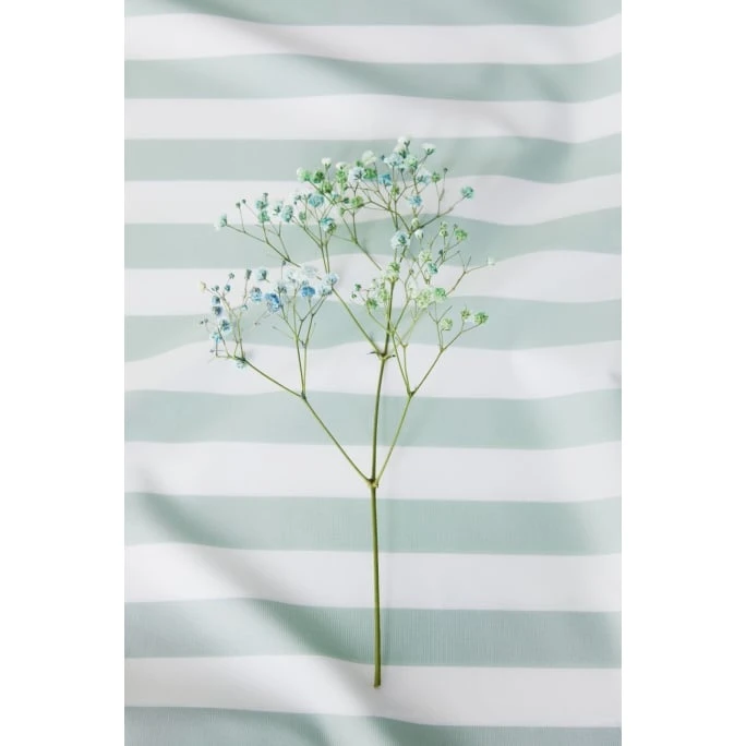 Elegante Lido Web-Perkal Bettwäsche-Set - 155x200 / 80x80 Cm - Salbei 4 Elegante Lido Web-Perkal Bettwäsche-Set - 155x200 / 80x80 Cm - Salbei – Bild 2